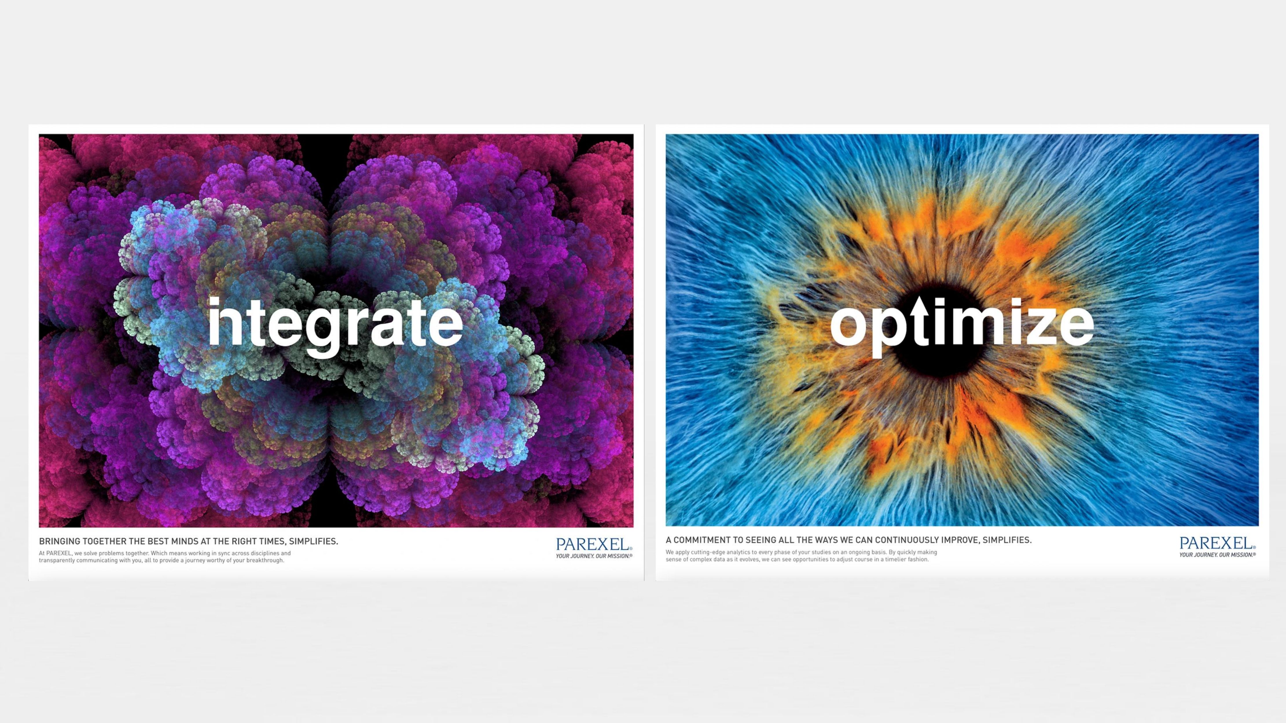 Parexel preview