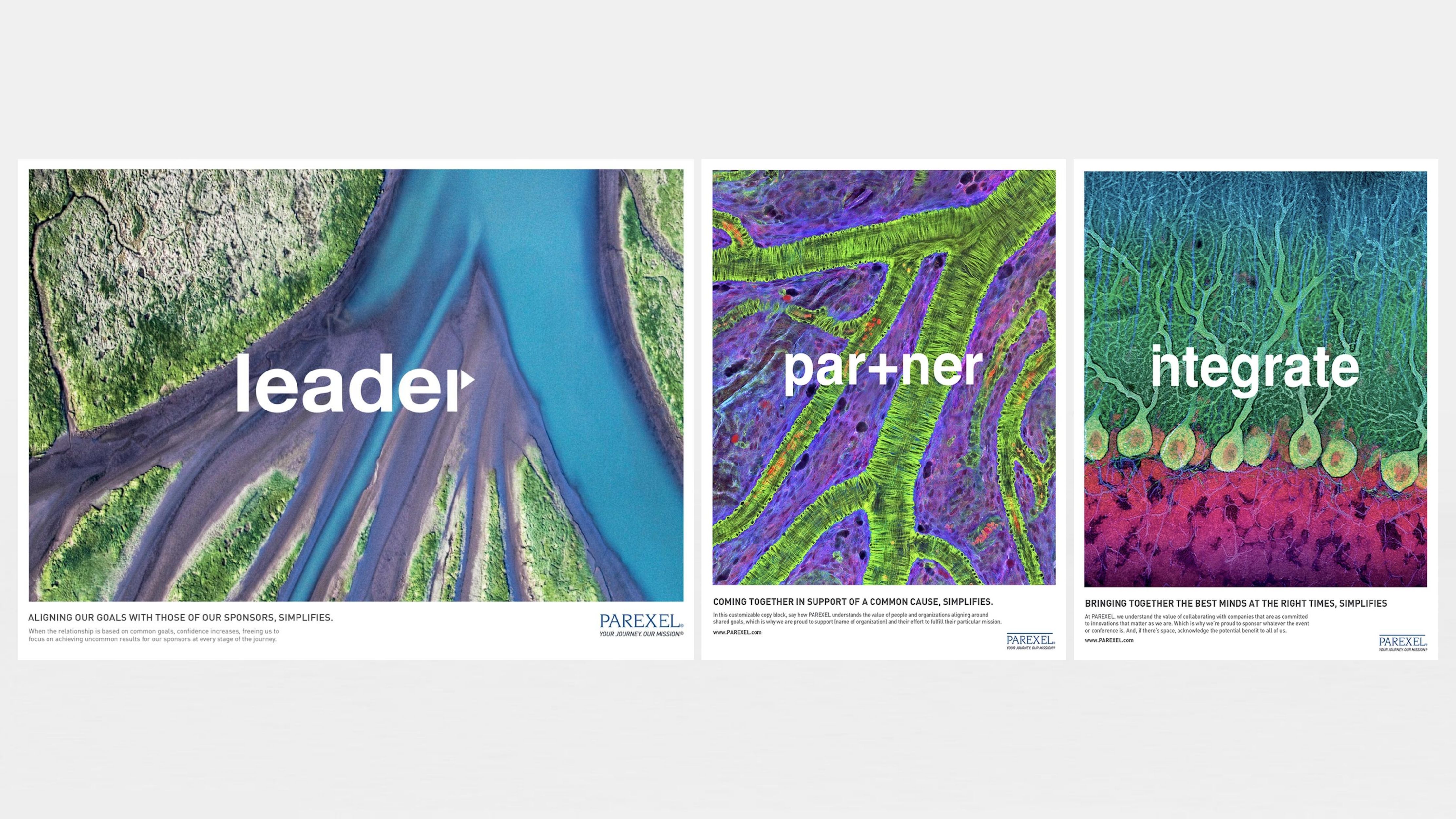 Parexel preview
